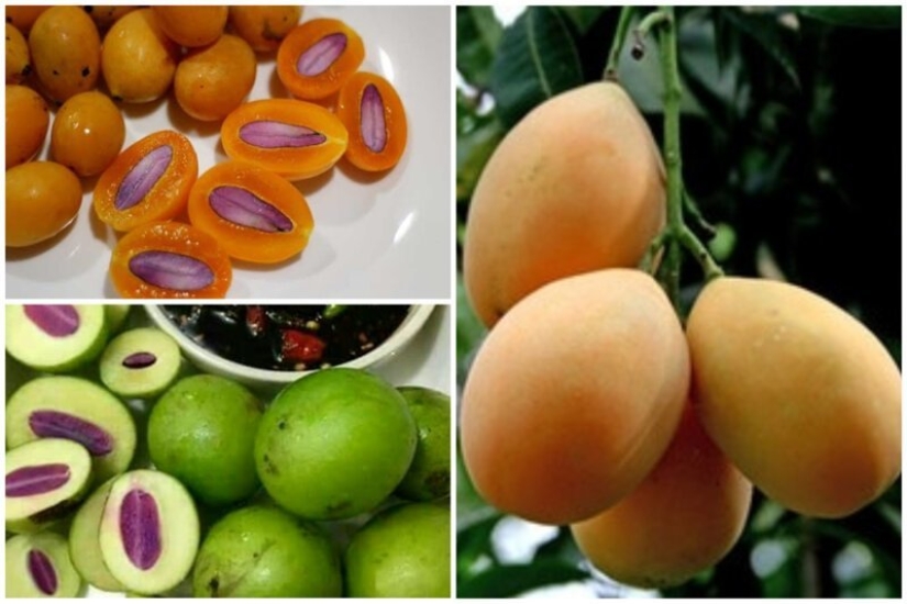 20 edible fruit, which you have not even heard