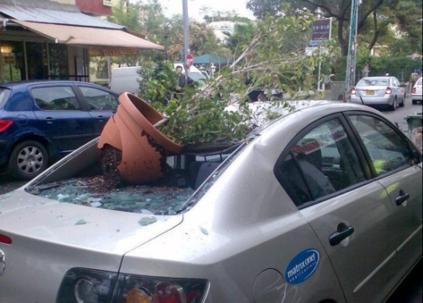 20 ejemplos de venganza insidiosa por estacionar