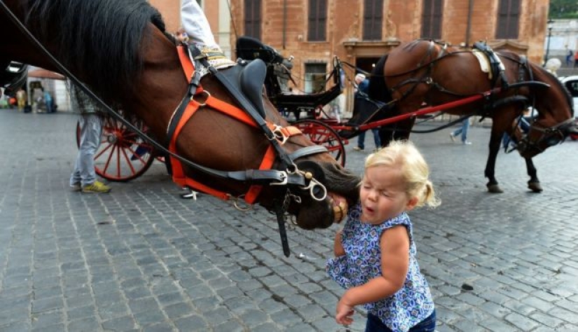 20 emotional snapshots that will melt the heart of even the "biscuit"