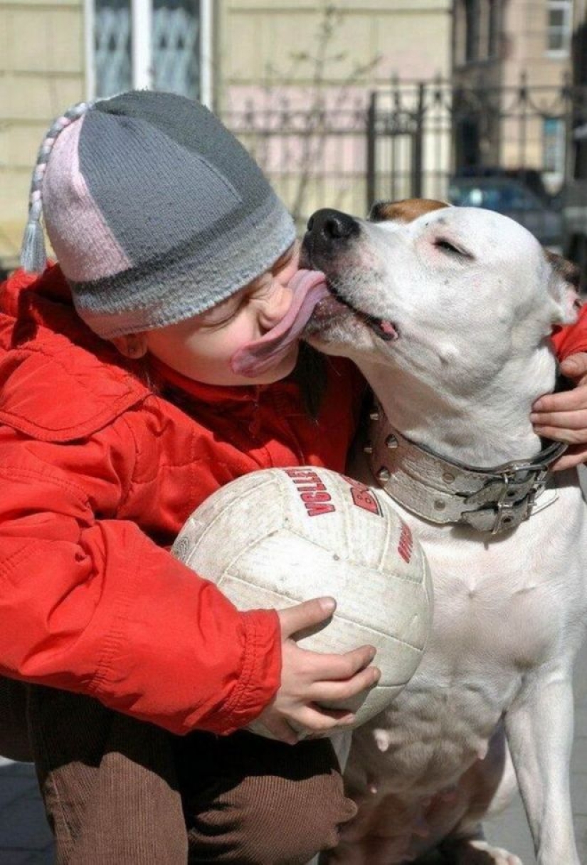 20 emotional snapshots that will melt the heart of even the "biscuit"