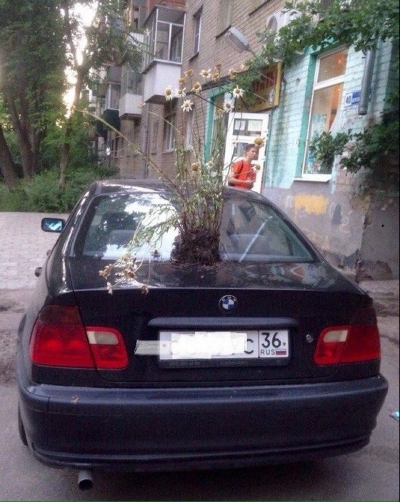 20 examples of insidious revenge for parking