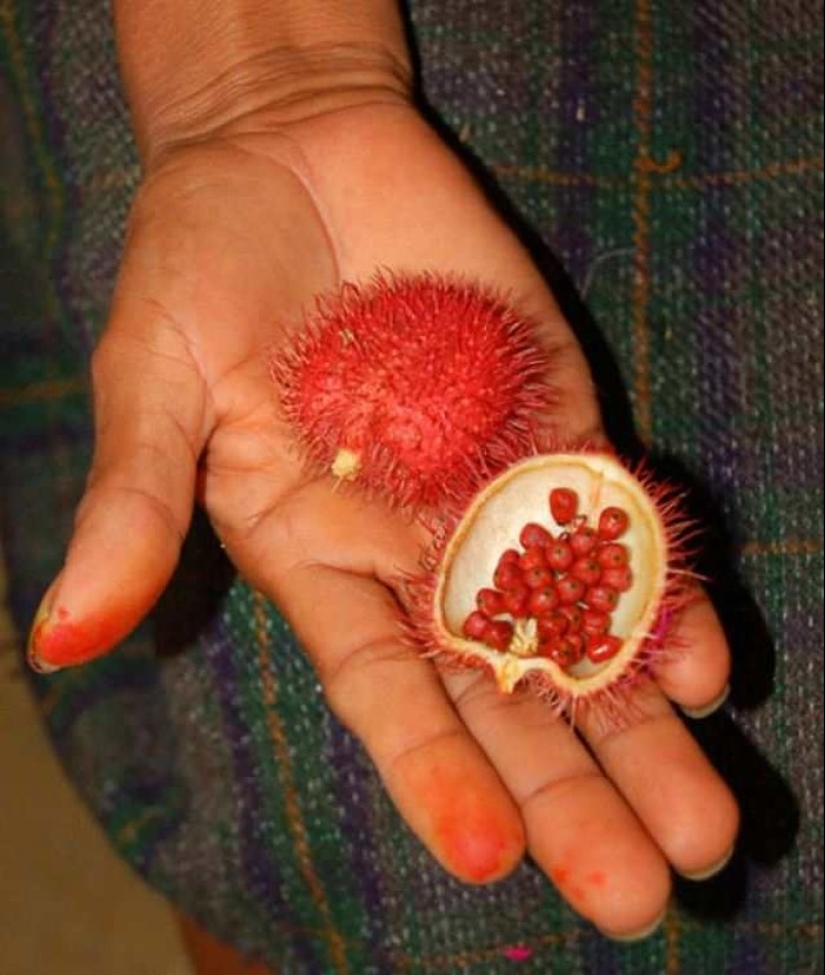 20 exotic fruits from around the world, which you never heard