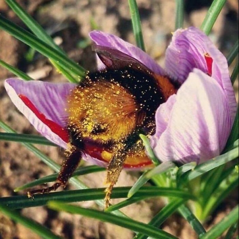 20 fotos deliciosamente aleatorias que alegrarán tu día