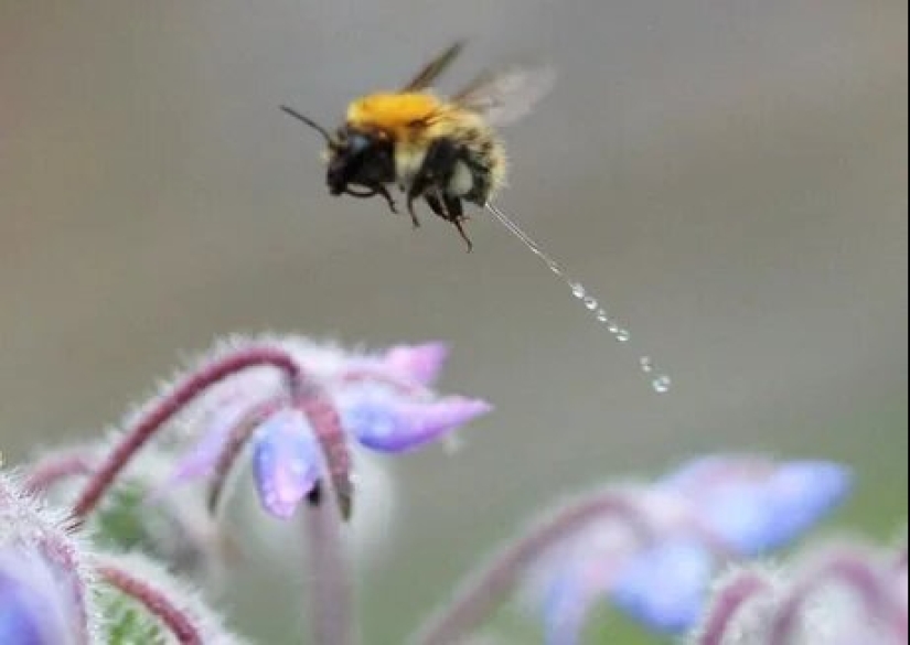 20 fotos divertidas tomadas en el momento perfecto