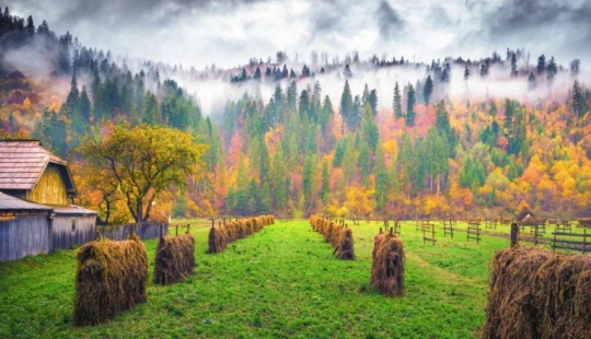 20 fotos en las que el otoño es fantásticamente hermoso