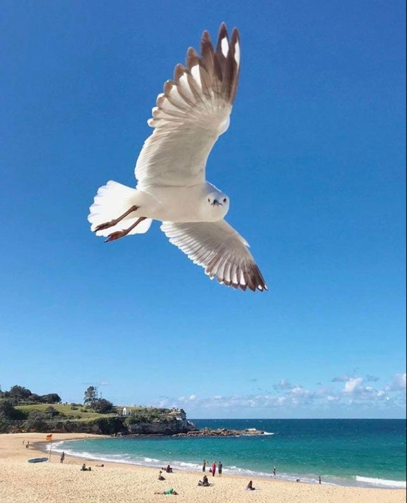 20 fotos geniales de la categoría "en el momento adecuado en el lugar adecuado"