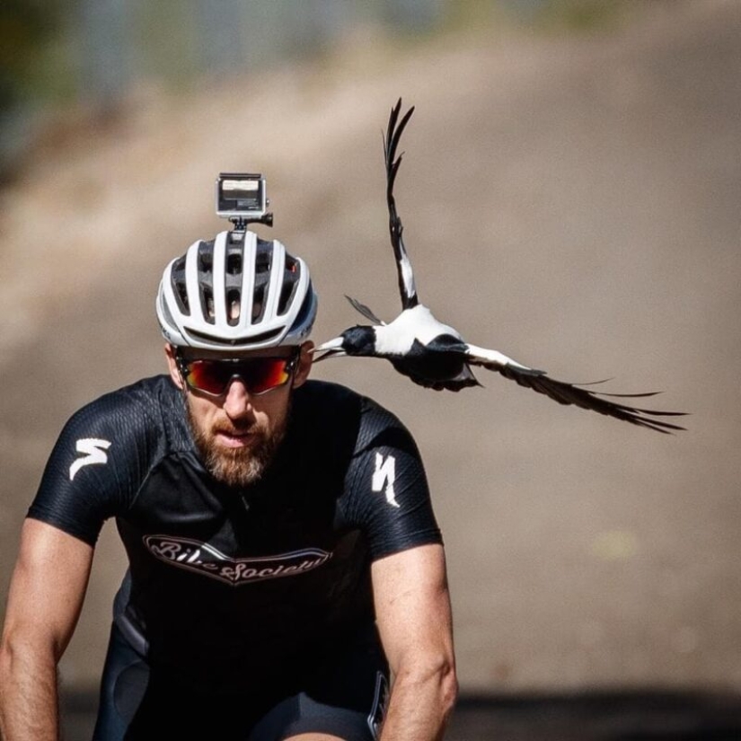 20 fotos geniales de la categoría "en el momento adecuado en el lugar adecuado"