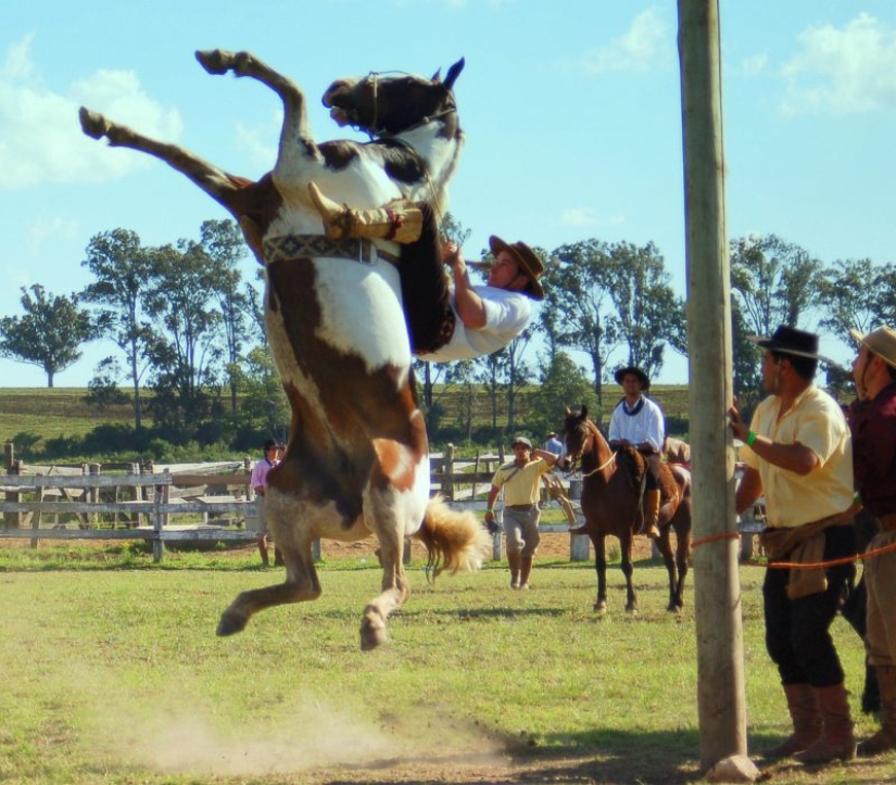 20 fotos que se hicieron en el momento adecuado