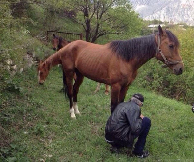 20 fotos que tendrás que echar un vistazo más de cerca