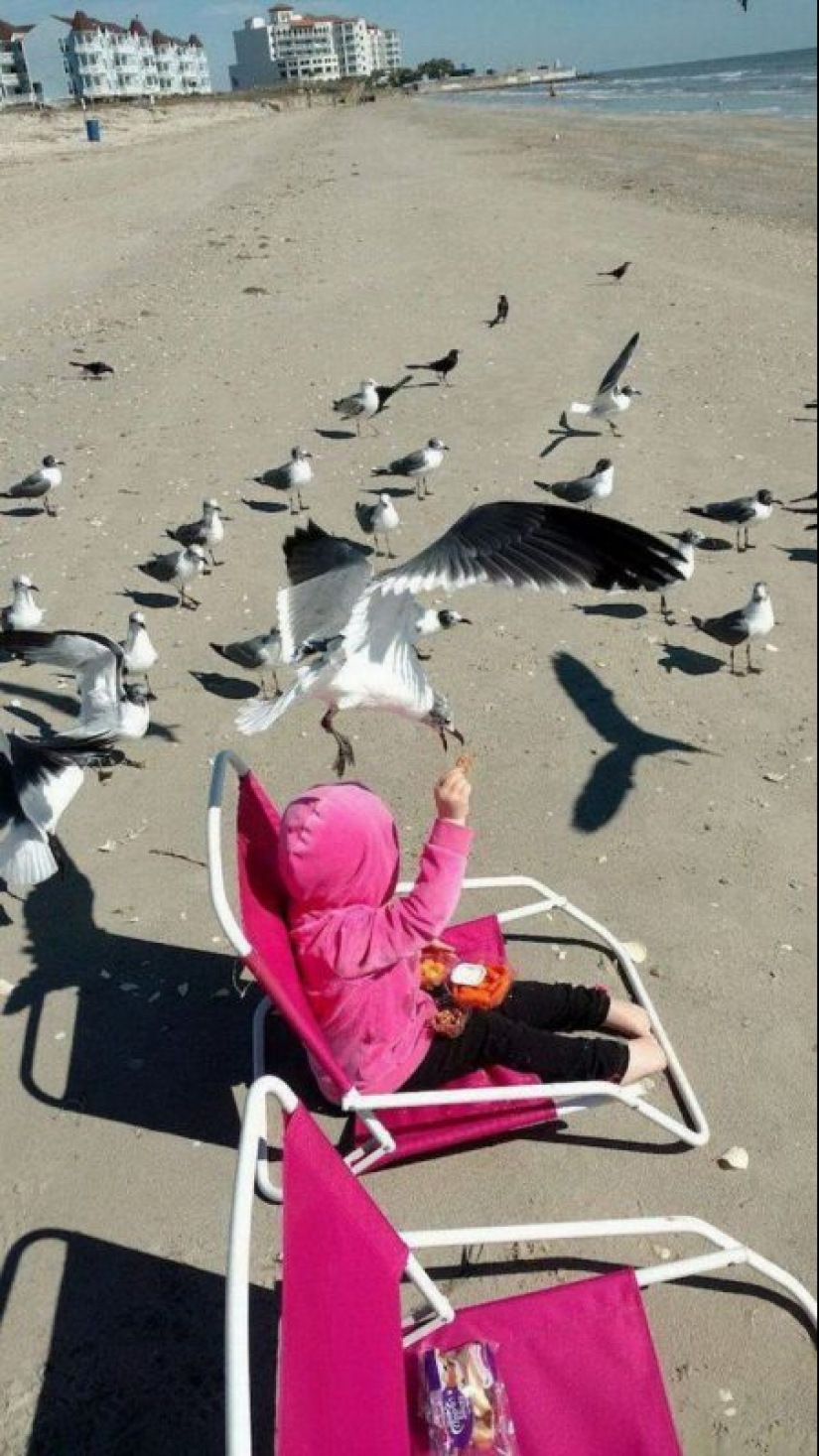 20 funny photos taken at the perfect moment