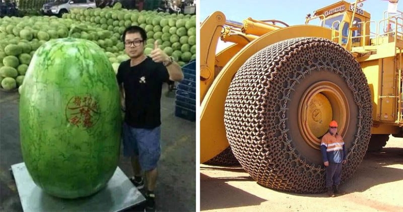 20 great things, to estimate the size of which can be compared only