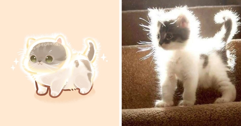 20 incredibly cute illustrations of cute animals from the Internet