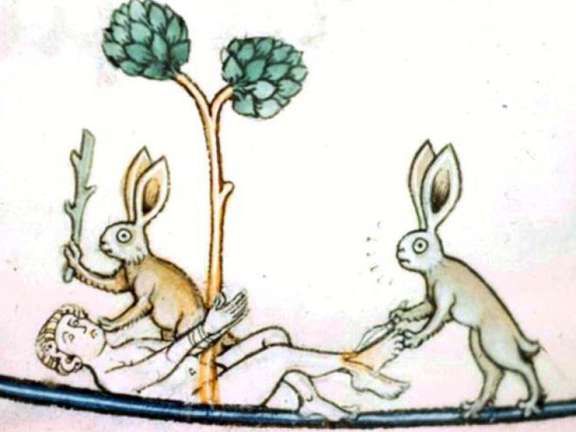 20 killer rabbits from medieval books: why these animals were painted as evil