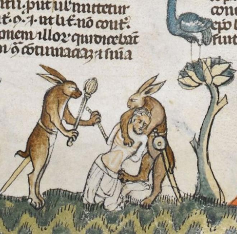 20 killer rabbits from medieval books: why these animals were painted as evil