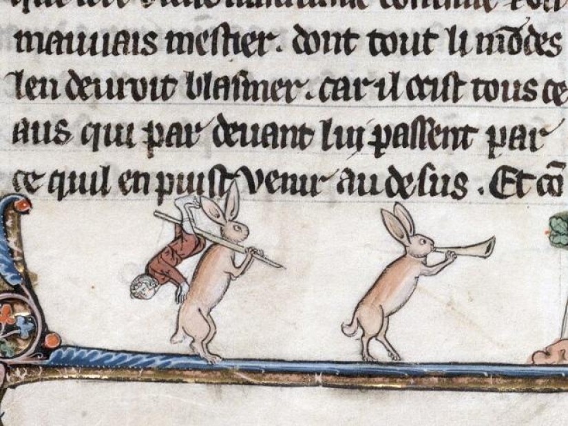 20 killer rabbits from medieval books: why these animals were painted as evil