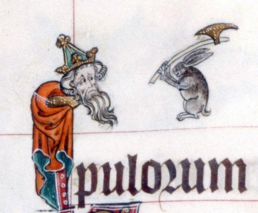 20 killer rabbits from medieval books: why these animals were painted as evil