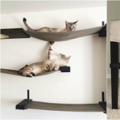 20 life hacks for happy cat owners