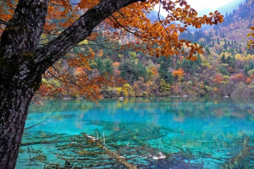 20 lugares del planeta donde la naturaleza no ha escatimado colores