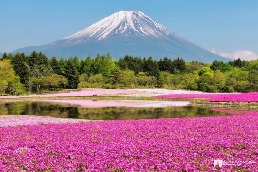 20 lugares del planeta donde la naturaleza no ha escatimado colores