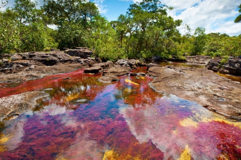 20 lugares donde el color gobierna el mundo