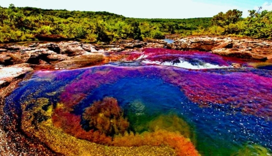 20 lugares donde el color gobierna el mundo