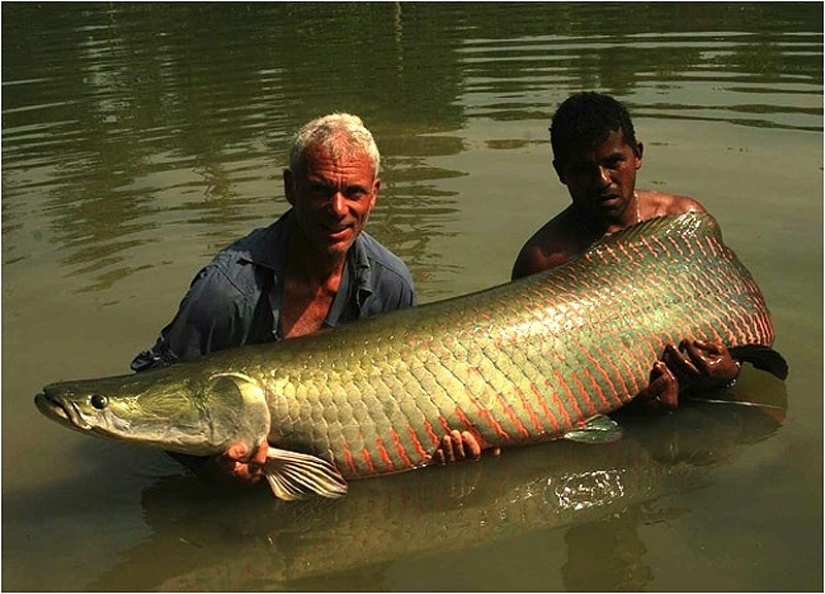 20 monstruos de río más increíbles