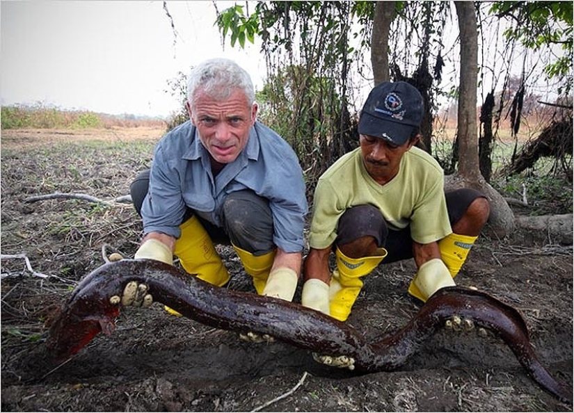 20 monstruos de río más increíbles