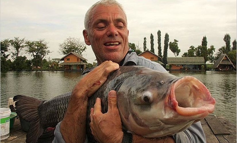 20 most amazing river monsters