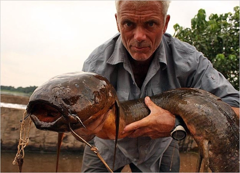 20 most amazing river monsters