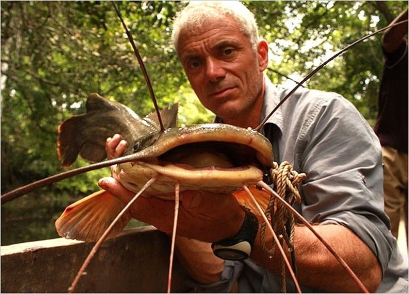 20 most amazing river monsters