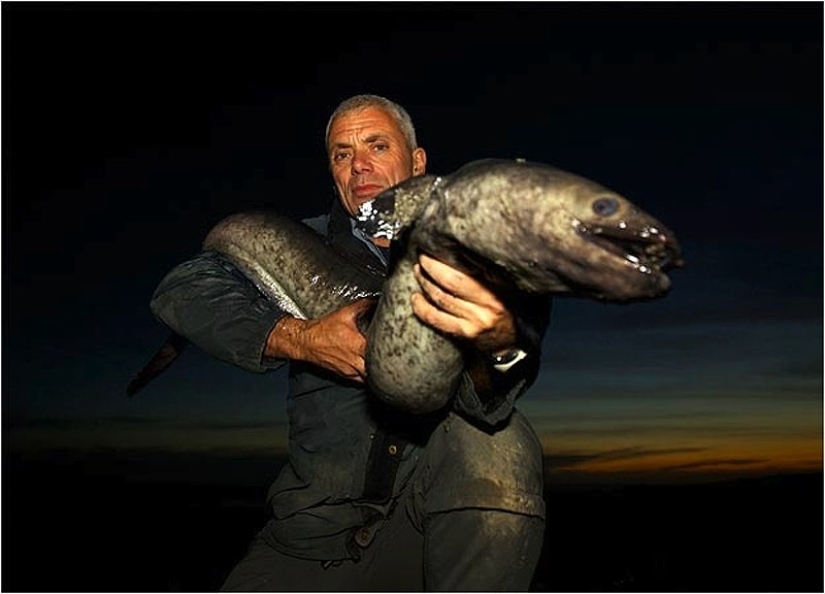 20 most amazing river monsters