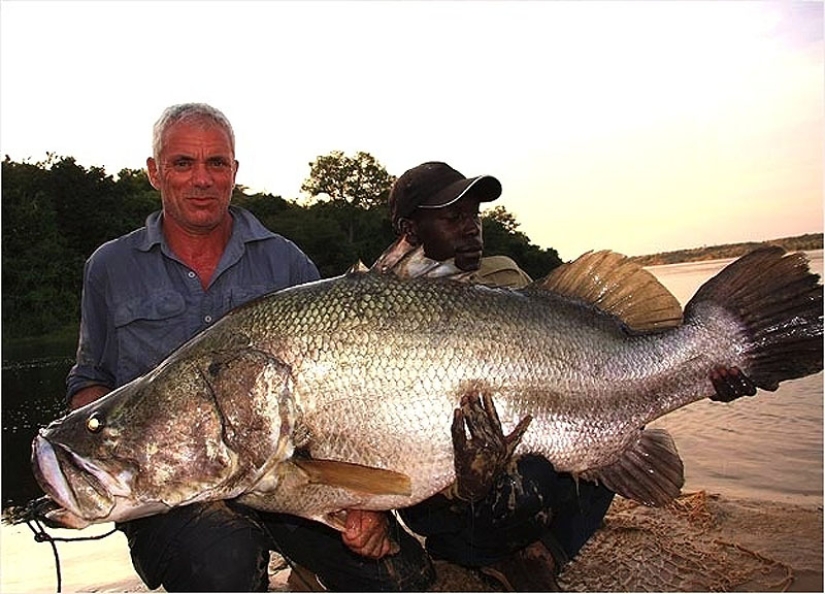 20 most amazing river monsters