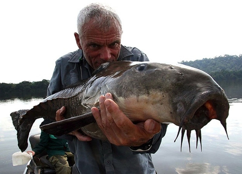 20 most amazing river monsters