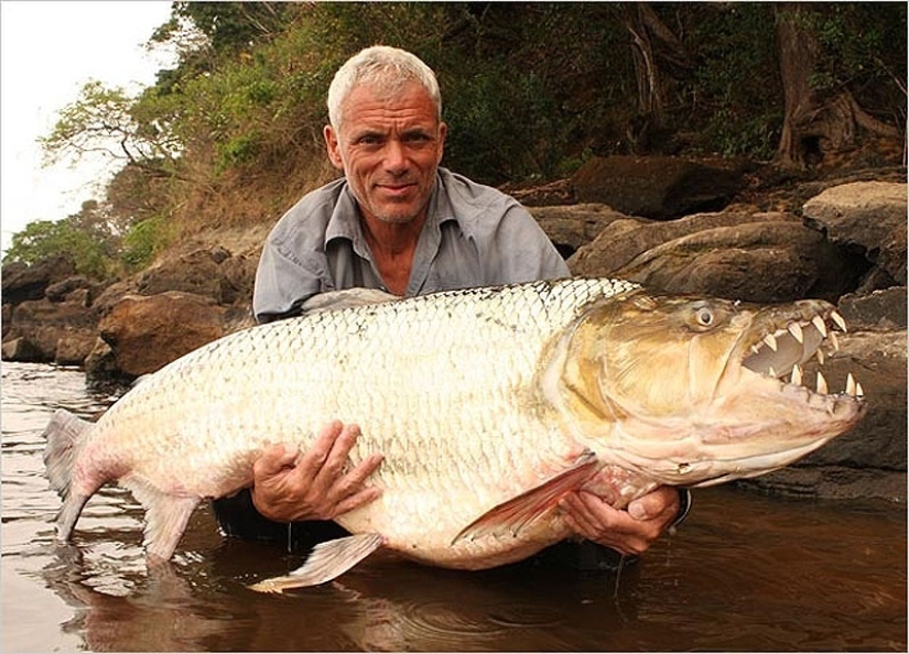 20 most amazing river monsters