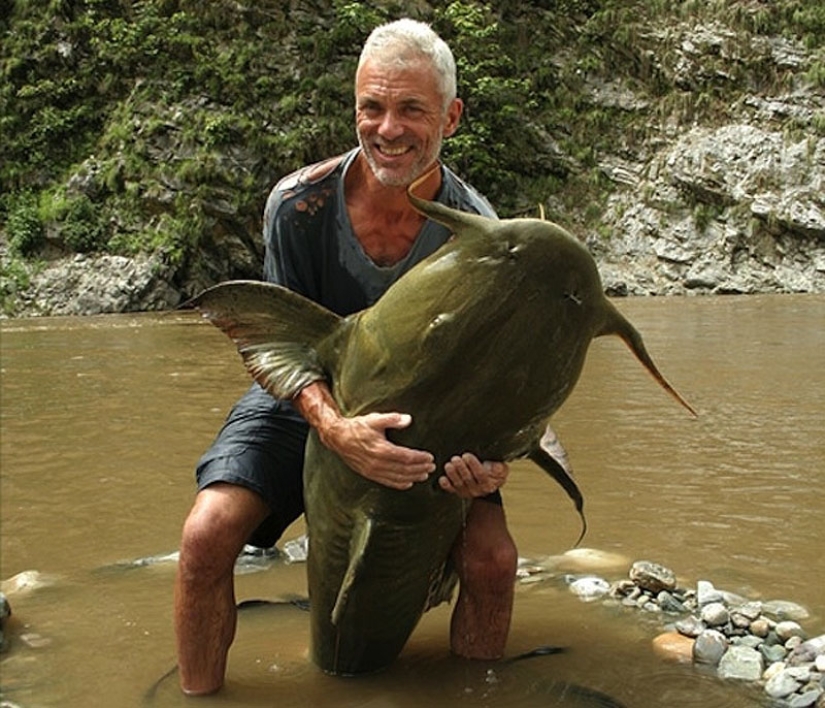 20 most amazing river monsters