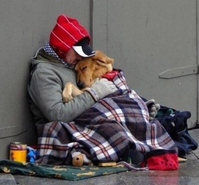 20 most touching and sincere photos about true friendship