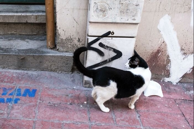 20 nuevas y entretenidas fotografías callejeras de Serkan Tekin demuestran que el tiempo lo es todo