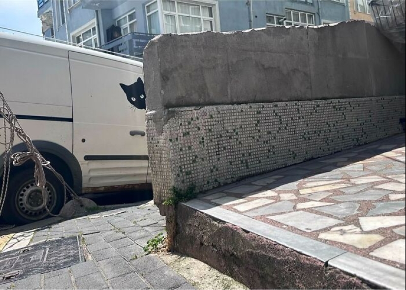 20 nuevas y entretenidas fotografías callejeras de Serkan Tekin demuestran que el tiempo lo es todo