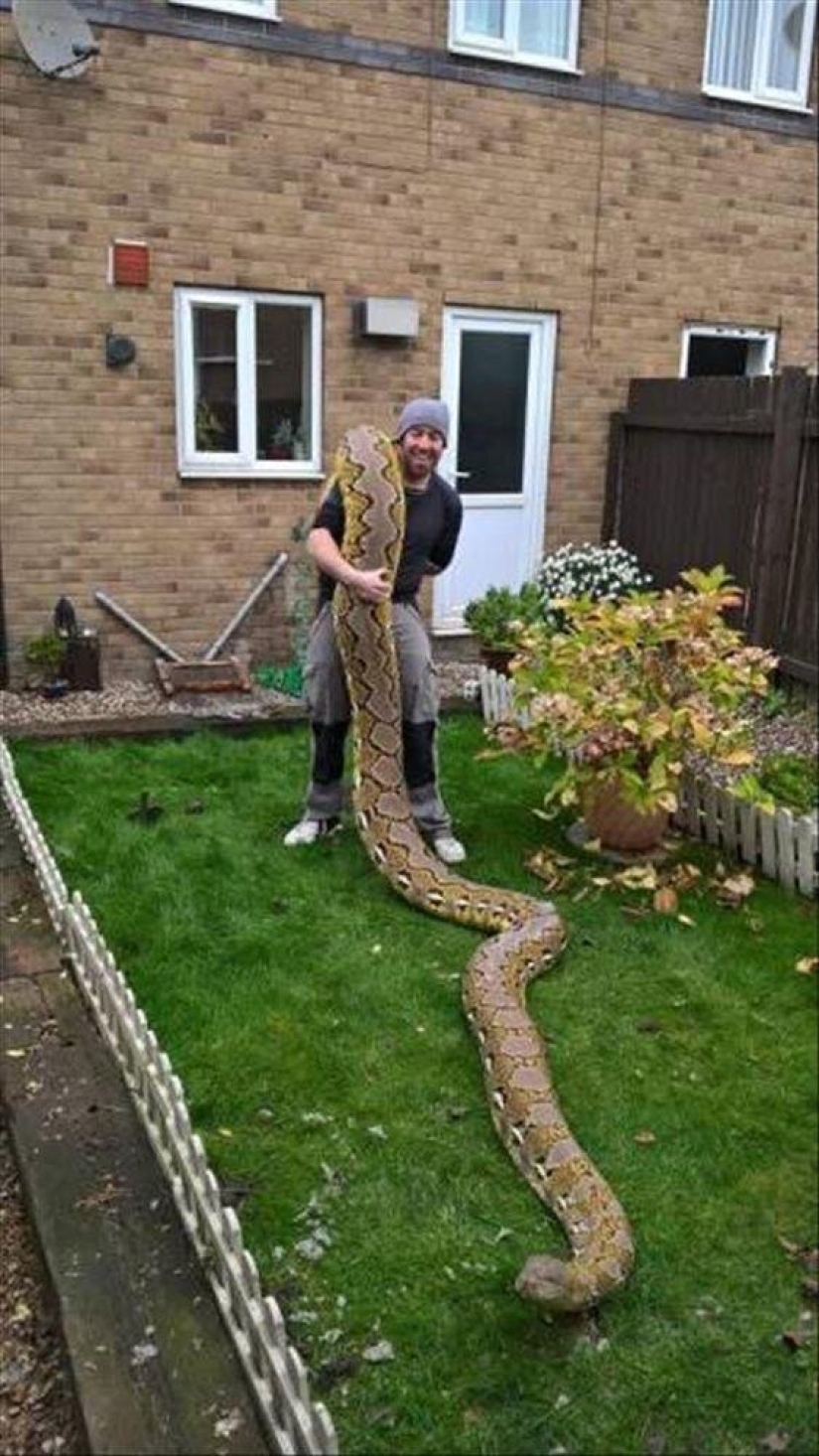 20 people who got a python, but did not calculate its size