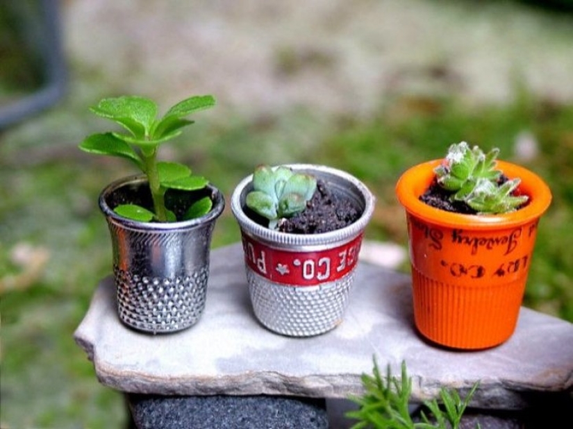 20 pequeños jardines que caben en la palma de tu mano