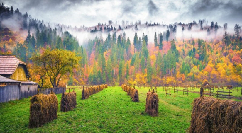 20 photos in which autumn is fantastically beautiful