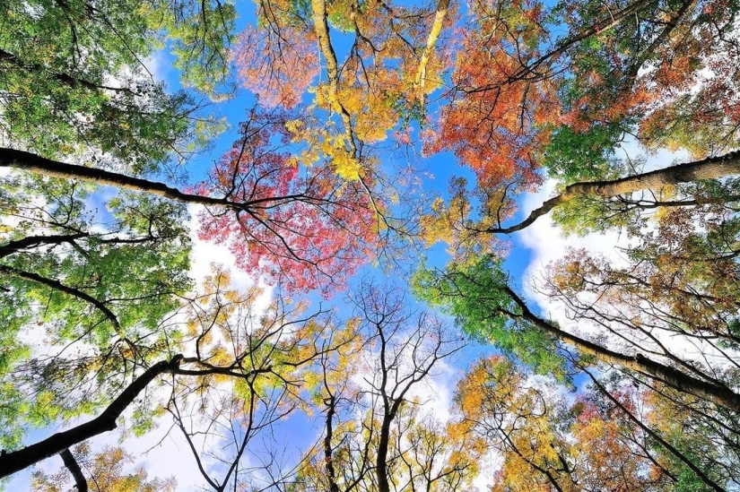 20 photos in which autumn is fantastically beautiful