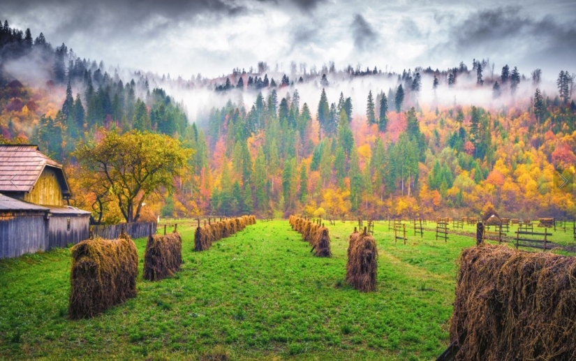 20 photos in which autumn is fantastically beautiful