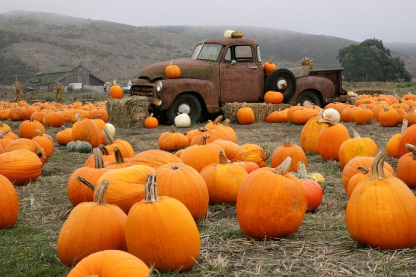 20 photos in which autumn is fantastically beautiful