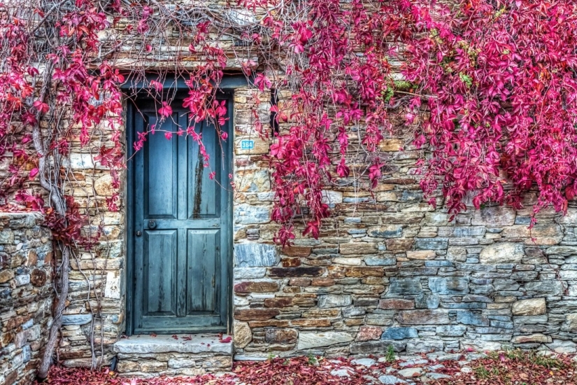 20 photos in which autumn is fantastically beautiful