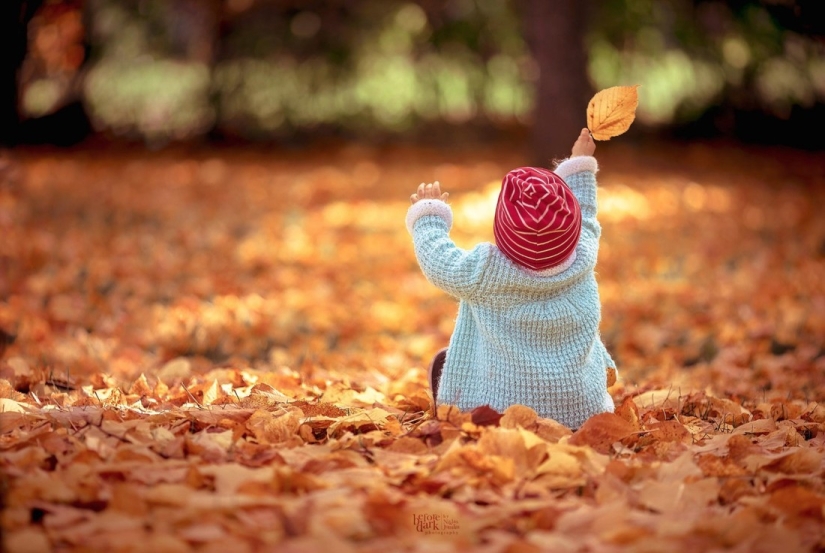 20 photos in which autumn is fantastically beautiful