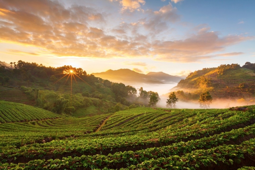 20 photos in which autumn is fantastically beautiful