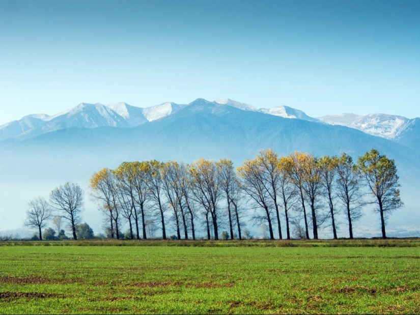 20 photos in which autumn is fantastically beautiful