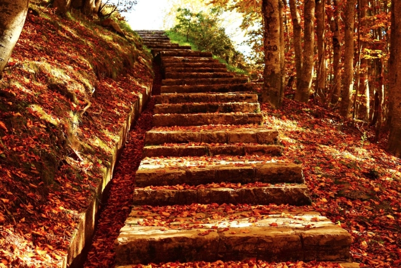 20 photos in which autumn is fantastically beautiful