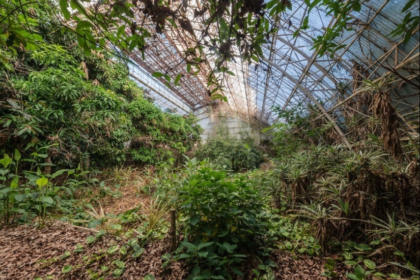 20 photos of incredibly beautiful abandoned places in Japan